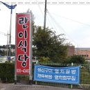 삼천포식당 | 란이식당 삼천포 맛집 현지인 추천 멸치쌈밥정식 솔직후기