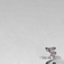 춘하추동 이미지