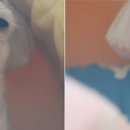 은지가든 이미지