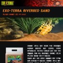 금일슈퍼 네이버블로그