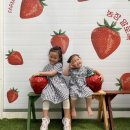 윤하농장 이미지