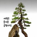 ♤가정 상비약 4가지 소개♧ 이미지