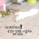 은고을펜션