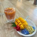 Plaire(플레르) 관광호텔 | 태국 치앙마이 4박 6일 패키지 8인 단체 가족여행 코쿤투어 찐 후기