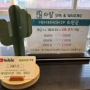 비키니스웨디시