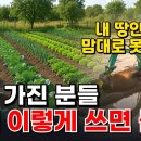 2026년 농지법, 이거 모르고 농지 건드리면 큰일 납니다 이미지