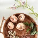 강남9길 | 송파 강남 부케말리기ㅣ 인기있는 부케기프트 부케잔 제작 후기