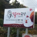 닭사랑농장 이미지