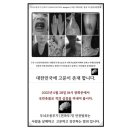 인권위 3월 4일 시위계획 보고 Bikini Gwanghwamun. Project 이미지