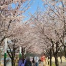 수원-0997 이미지