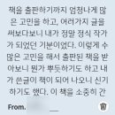 페이퍼 피티 이미지