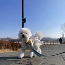 옐레드 시흥은계호수점 이미지