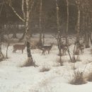 일본 전 최동단 역 히가시네무로역 폐역 2일전 방문 후기 +현) 최동단 네무로역 2025-03-13