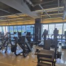 G1 PT SMART GYM 이미지