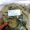 갑당약초, 구아바잎으로 비염 예방해요!!