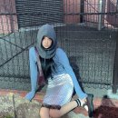세인트제인