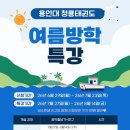 현촌 용인대 청룡태권도장 네이버블로그