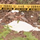야산마을진입로 이미지