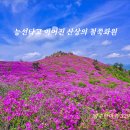 제329차 정기산행 - &#34; 보성 초암산/철쭉 좌석 &#34;(4.21) 이미지