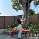 호왕농장 | 무안, 곡성/ 생일 기념 일로로이 섬진강 기차마을(25.5.29-30)