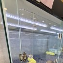 버디독 강아지분양 고양이분양 안심분양센터 서울 강서점 이미지