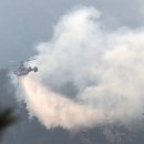 읍내5리 마을회관 이미지