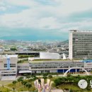 일가정양립지원본부실내수영장 이미지