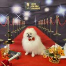 트윈퍼피 이미지