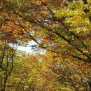 10월29일(일) 인천대공원과 관모산(마감) 이미지