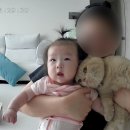 해뜨는 동물병원 | 버디의 2025 하반기 냥모먼트