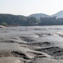 대부해솔길 7-1코스 이미지