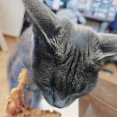 노랑통닭 안성아양점 이미지