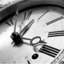 직장 다닌다고 직업 생기지 않는다 이미지