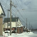 우림타이어 | Sapporo₂