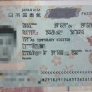 자유국제여행사 이미지