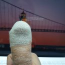 피데스헤어
