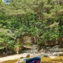 훈이네양념통닭 이미지