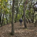 여주시 *대포산-201봉-203봉-신통산-강금산* (25.10.30) 이미지
