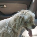 새말편의점 이미지