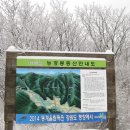 2018년 1월 21일 정기산행 공지(능경봉~고루포기산) 이미지