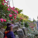 먹골역7번출구 이미지