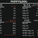 퍼피앤독 이미지