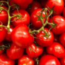 불이아 | 신사 훠궈 맛집] 하이디라오보다 가성비 있는 '인량훠궈' 솔직 후기! feat. 운남성훠궈 / 논현역 훠궈 맛집