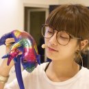 센스안경 이미지