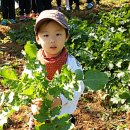 민준농장 이미지