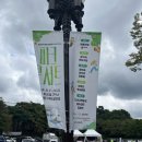 중앙카 | 2024 성남 파크콘서트 후기 분당 중앙공원 주차 웨이팅 정보 꿀팁 카더가든, 장기하 공연