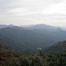 광덕3로6 이미지