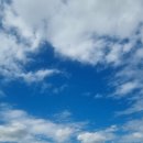 국제유선(해피호) 이미지