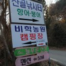 비학농원 캠핑장 이미지