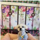 폴링인독 이미지